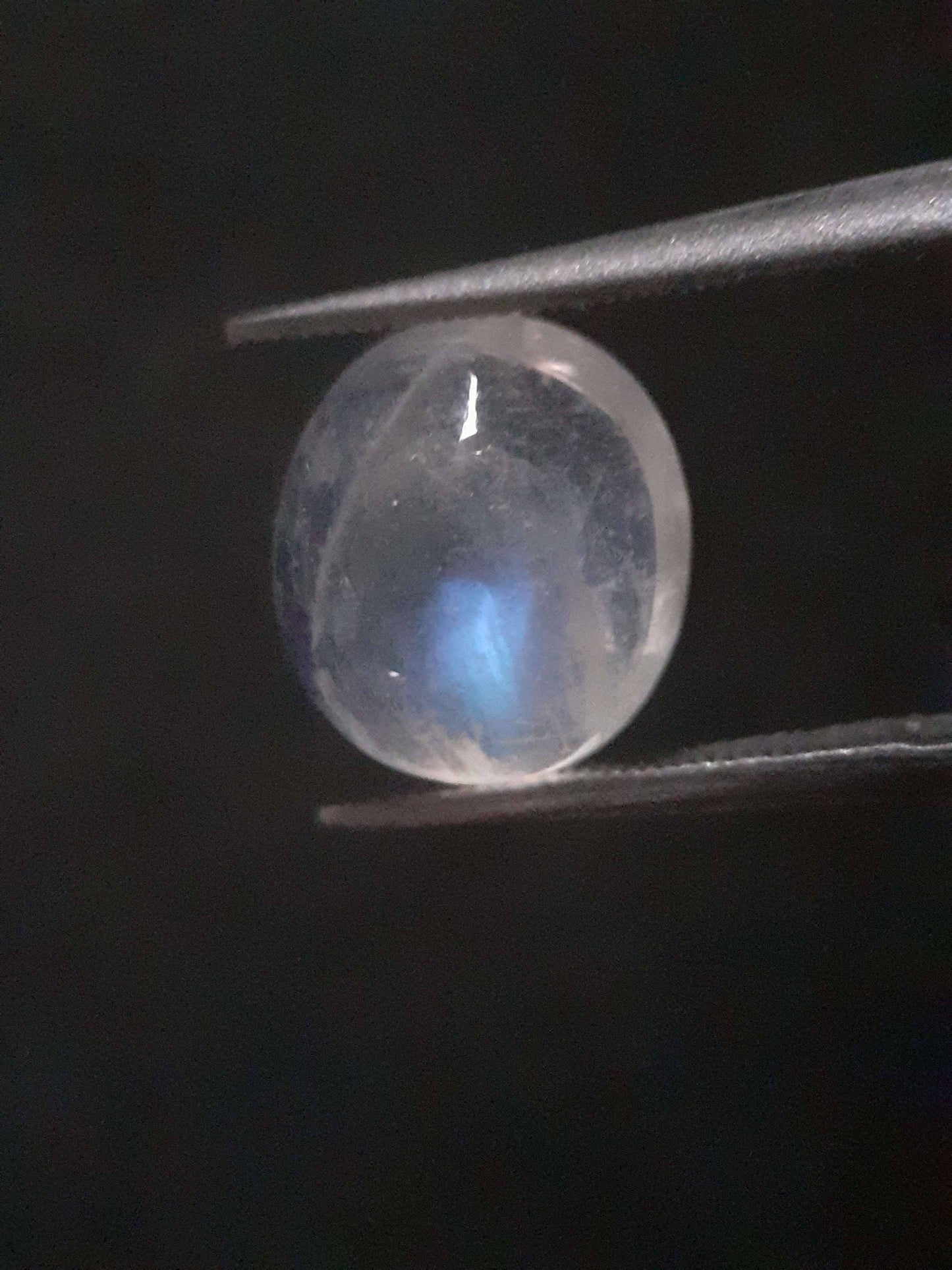 Natural Moonstone - faint blue adularescence - 3.518 ct - oval cabochon