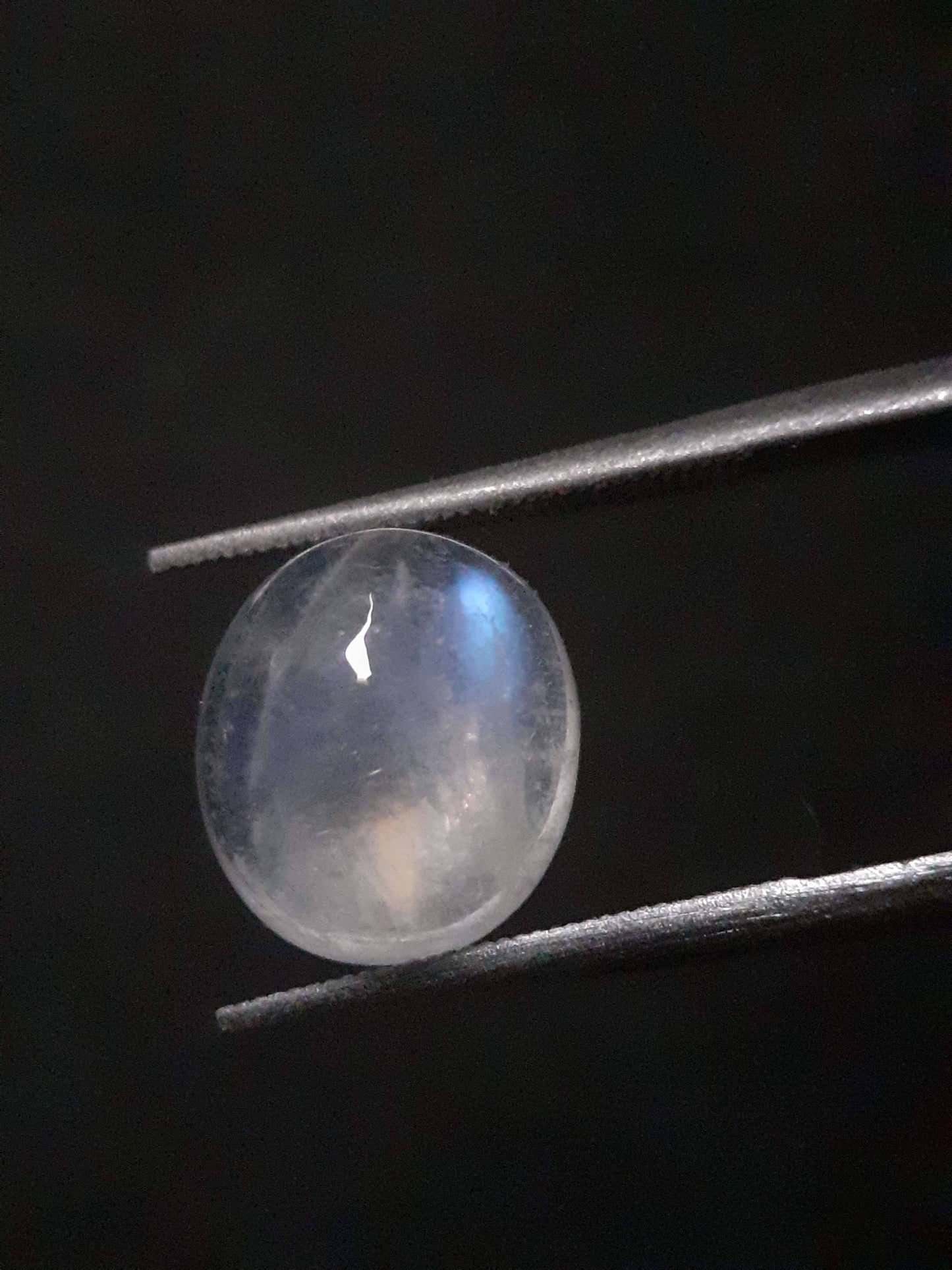 Natural Moonstone - faint blue adularescence - 3.518 ct - oval cabochon