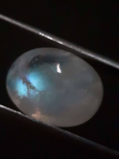 Natural Moonstone - greenish blue adularescence - 13.385 ct - oval cabochon