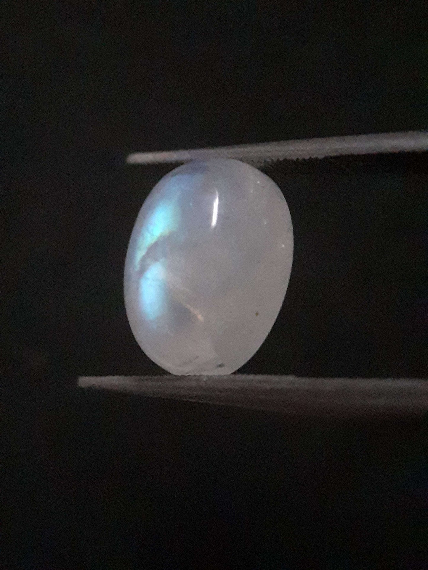 Natural Moonstone - light blue adularescence - 4.148 ct - oval cabochon