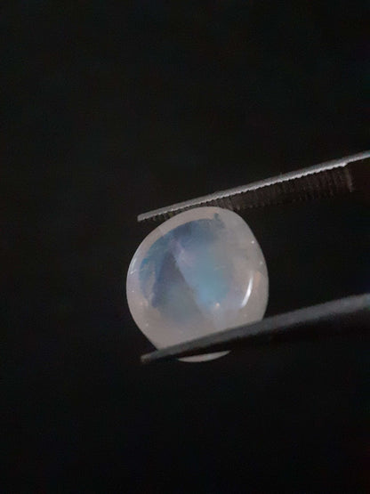 Natural Moonstone - light blue adularescence - 4.160 ct - oval cabochon