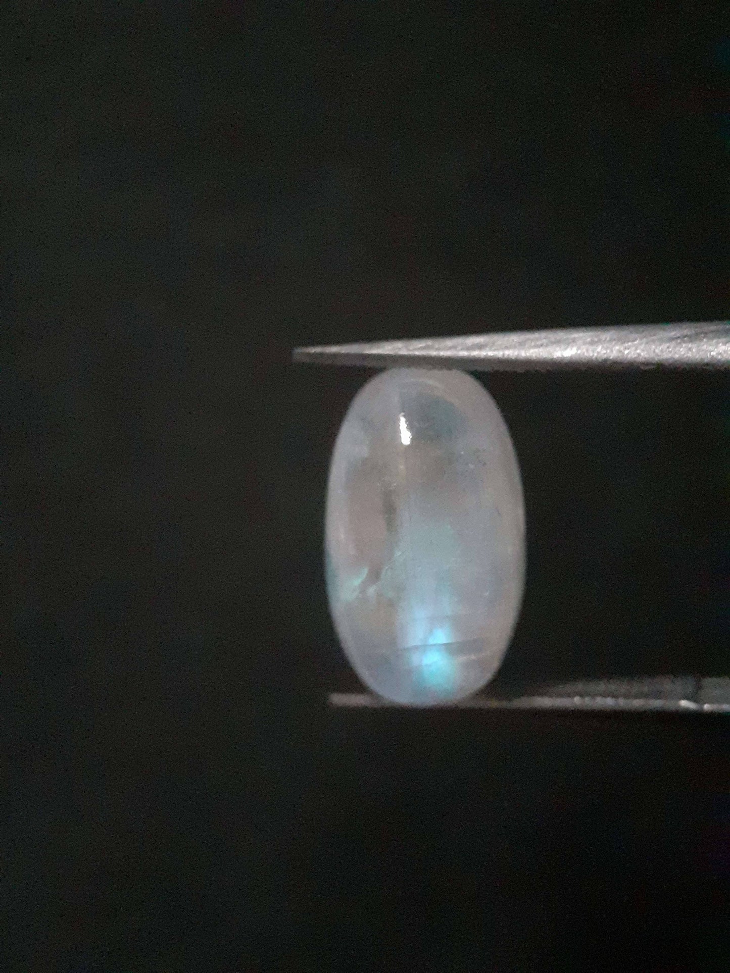 Natural Moonstone - light blue adularescence - 5.010 ct - oval - certified natural