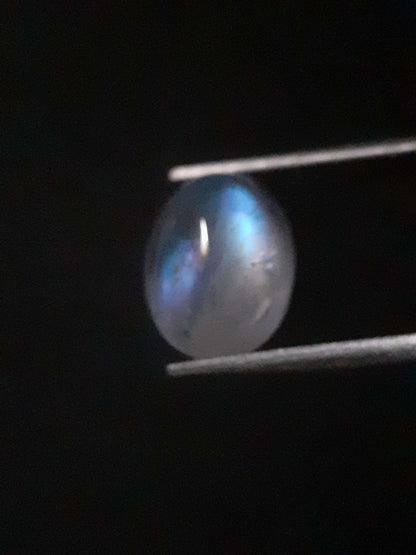 Natural Moonstone - light blue and blue adularescence - 2.099 ct - oval cabochon