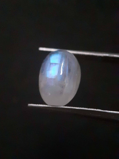 Natural Moonstone - light blue and blue adularescence - 4.478 ct - oval cabochon