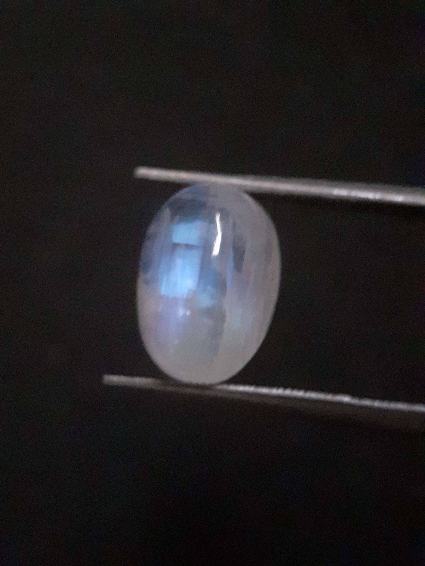 Natural Moonstone - light blue and blue adularescence - 4.478 ct - oval cabochon