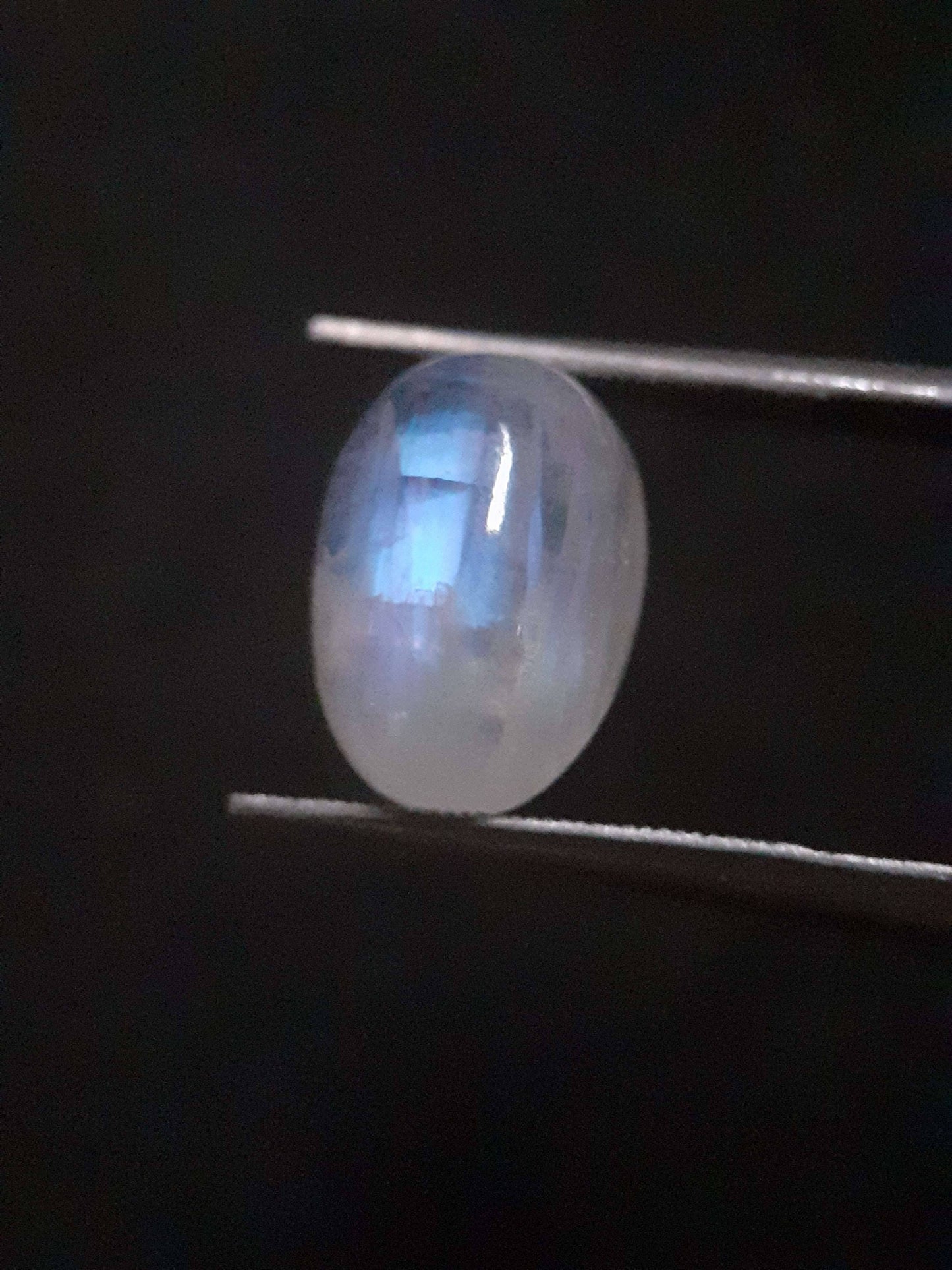 Natural Moonstone - light blue and blue adularescence - 4.478 ct - oval cabochon