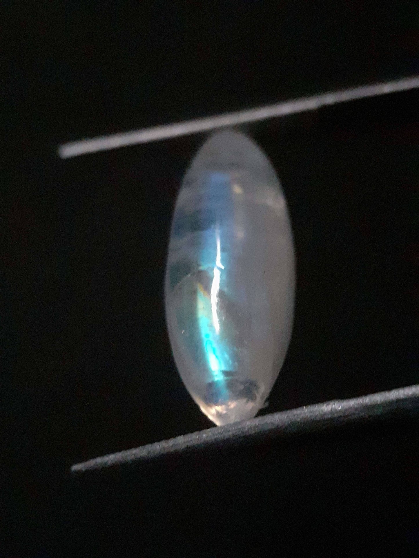 Natural Moonstone - lightblue and blue adularescence - 4.334 ct - marquise cabochon