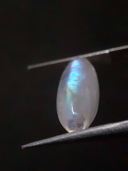 Natural Moonstone - lightblue and blue adularescence - 4.334 ct - marquise cabochon