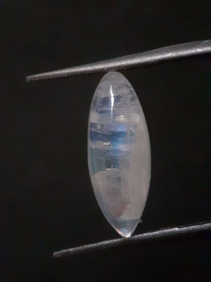 Natural Moonstone - lightblue and blue adularescence - 4.334 ct - marquise cabochon