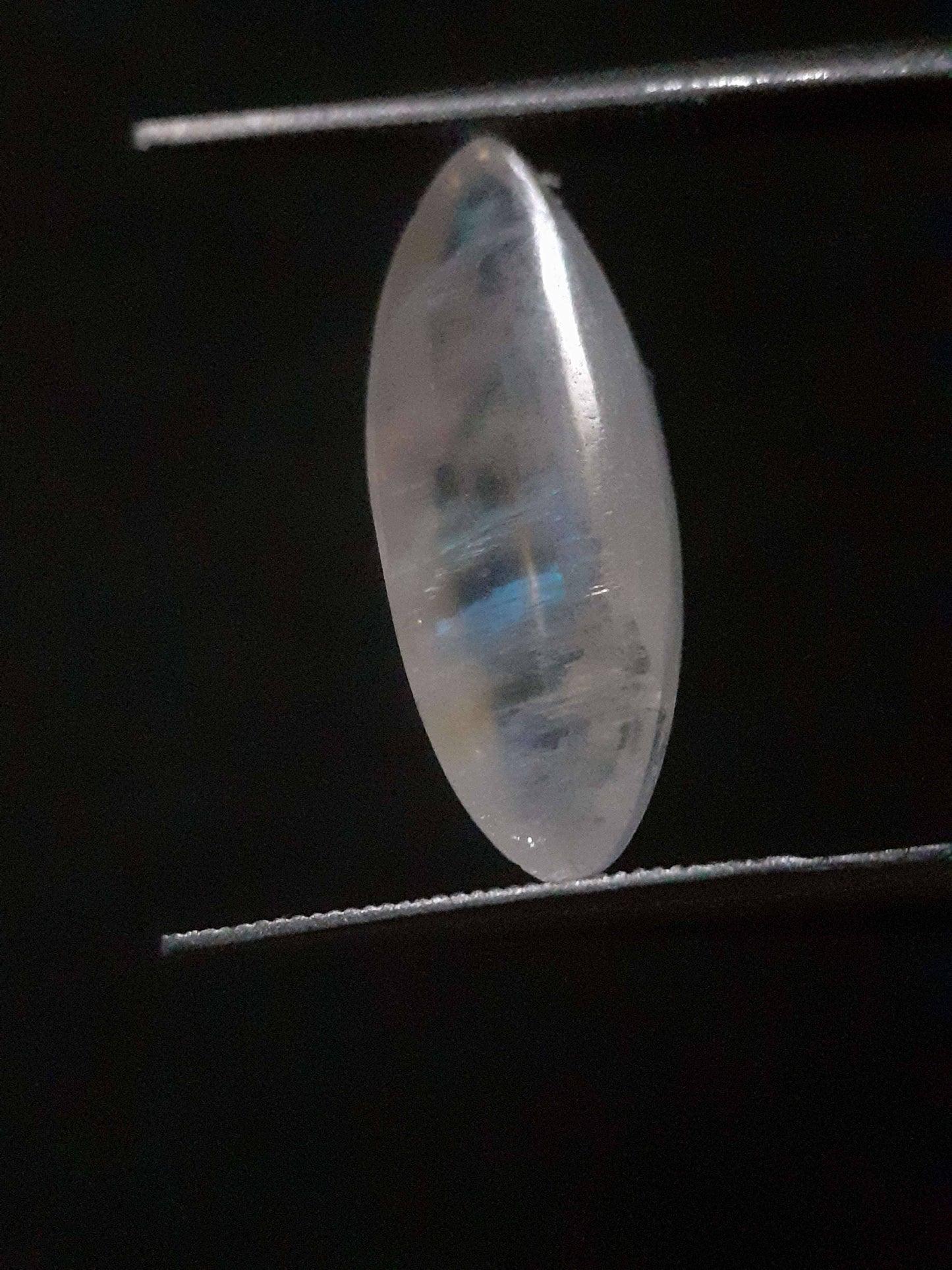 Natural Moonstone - lightblue and blue adularescence - 4.334 ct - marquise cabochon