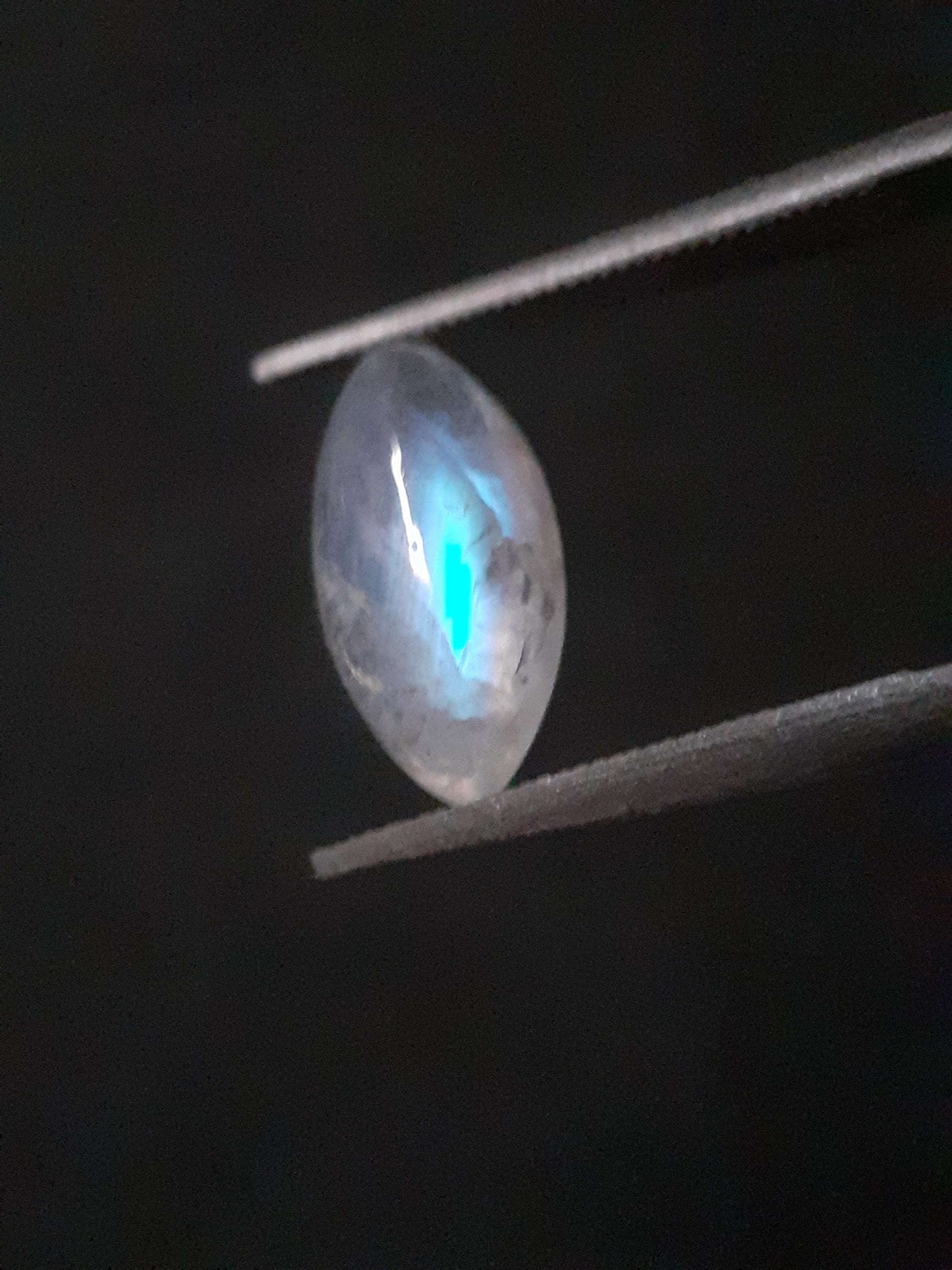 Natural Moonstone - lightblue and purplish adularescence - 1.485 ct - marquise cabochon