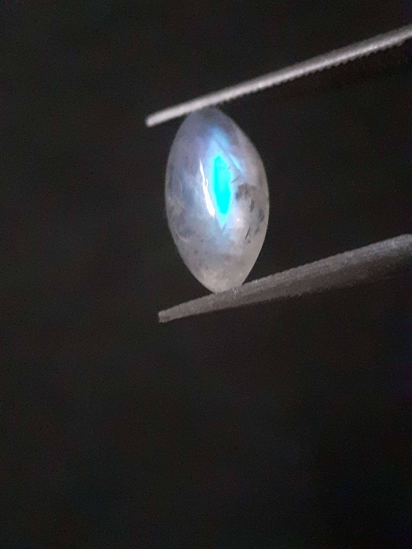 Natural Moonstone - lightblue and purplish adularescence - 1.485 ct - marquise cabochon