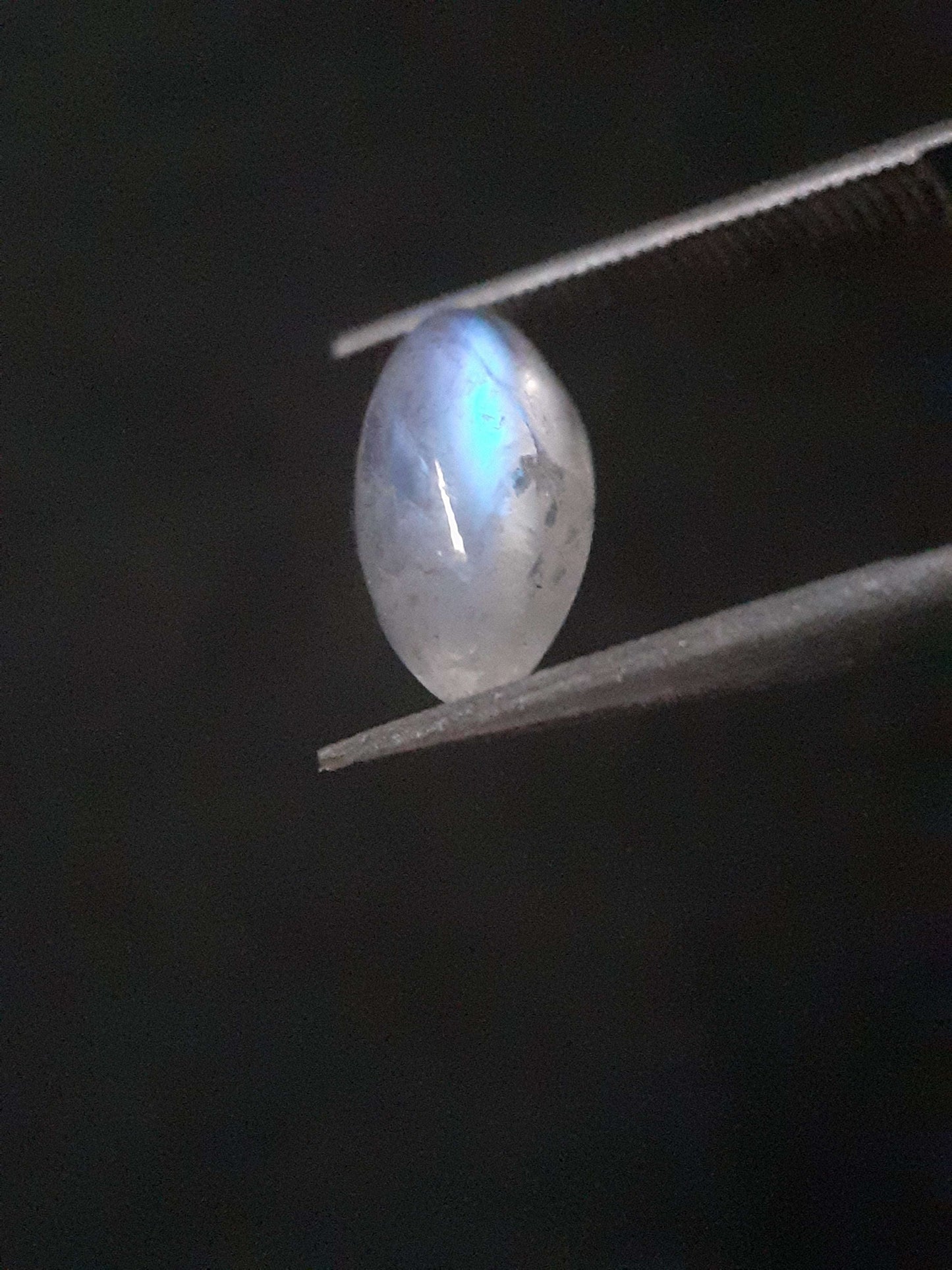 Natural Moonstone - lightblue and purplish adularescence - 1.485 ct - marquise cabochon