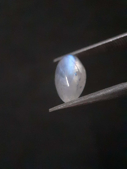 Natural Moonstone - lightblue and purplish adularescence - 1.485 ct - marquise cabochon