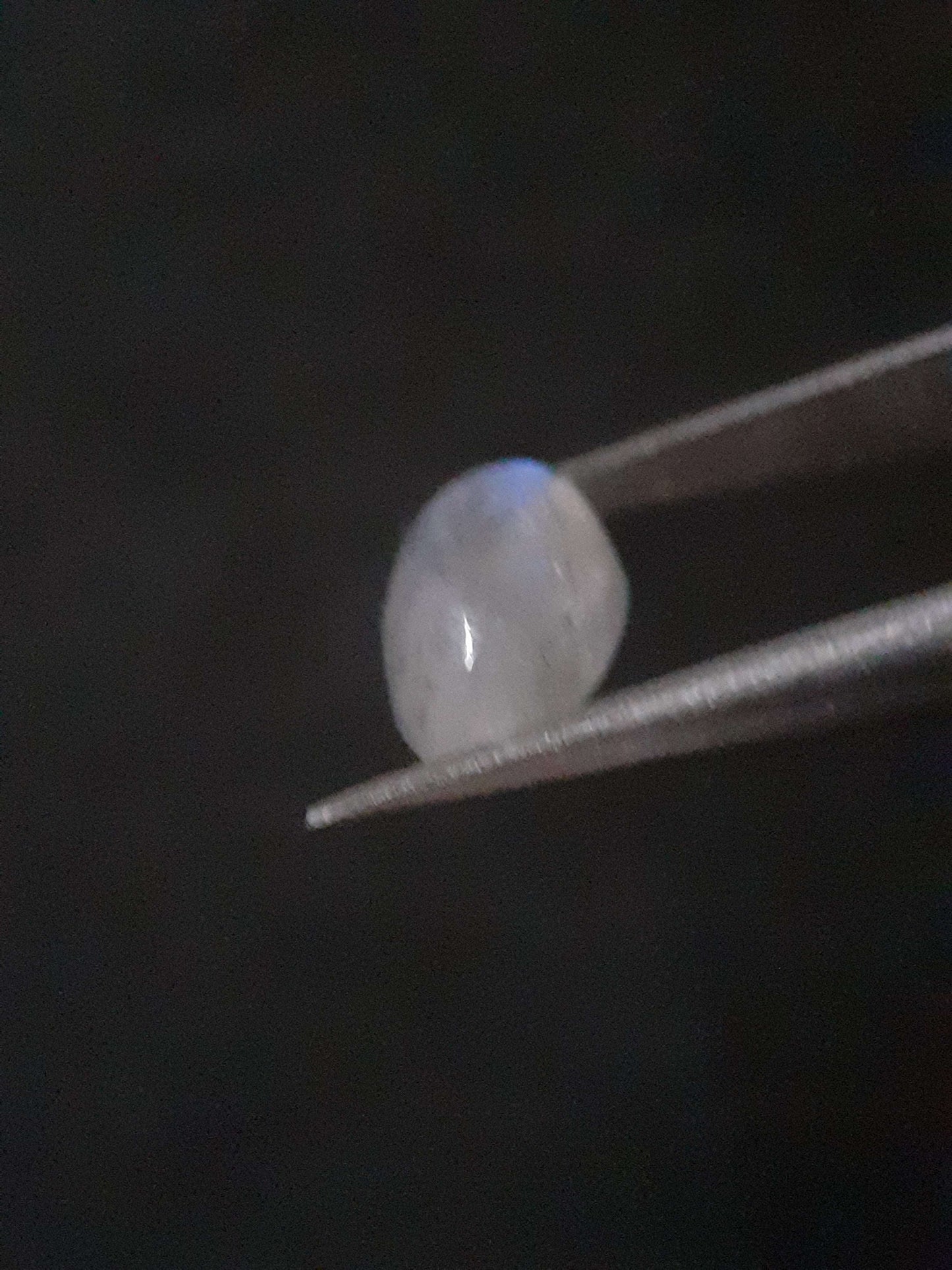 Natural Moonstone - lightblue and purplish adularescence - 1.485 ct - marquise cabochon