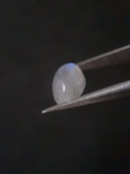 Natural Moonstone - lightblue and purplish adularescence - 1.485 ct - marquise cabochon