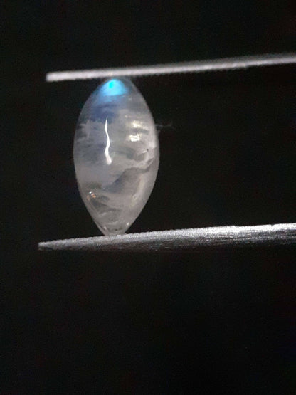 Natural Moonstone - lightblue and purplish blue adularescence - 2.298 ct - marquise cabochon