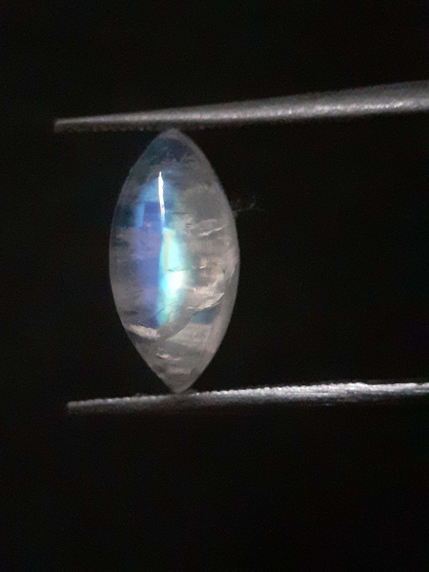 Natural Moonstone - lightblue and purplish blue adularescence - 2.298 ct - marquise cabochon