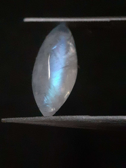 Natural Moonstone - lightblue and purplish blue adularescence - 3.704 ct - marquise cabochon