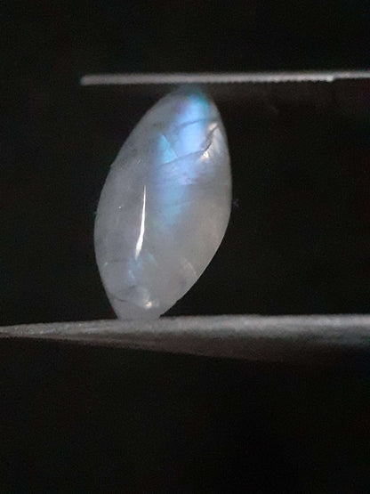 Natural Moonstone - lightblue and purplish blue adularescence - 3.704 ct - marquise cabochon