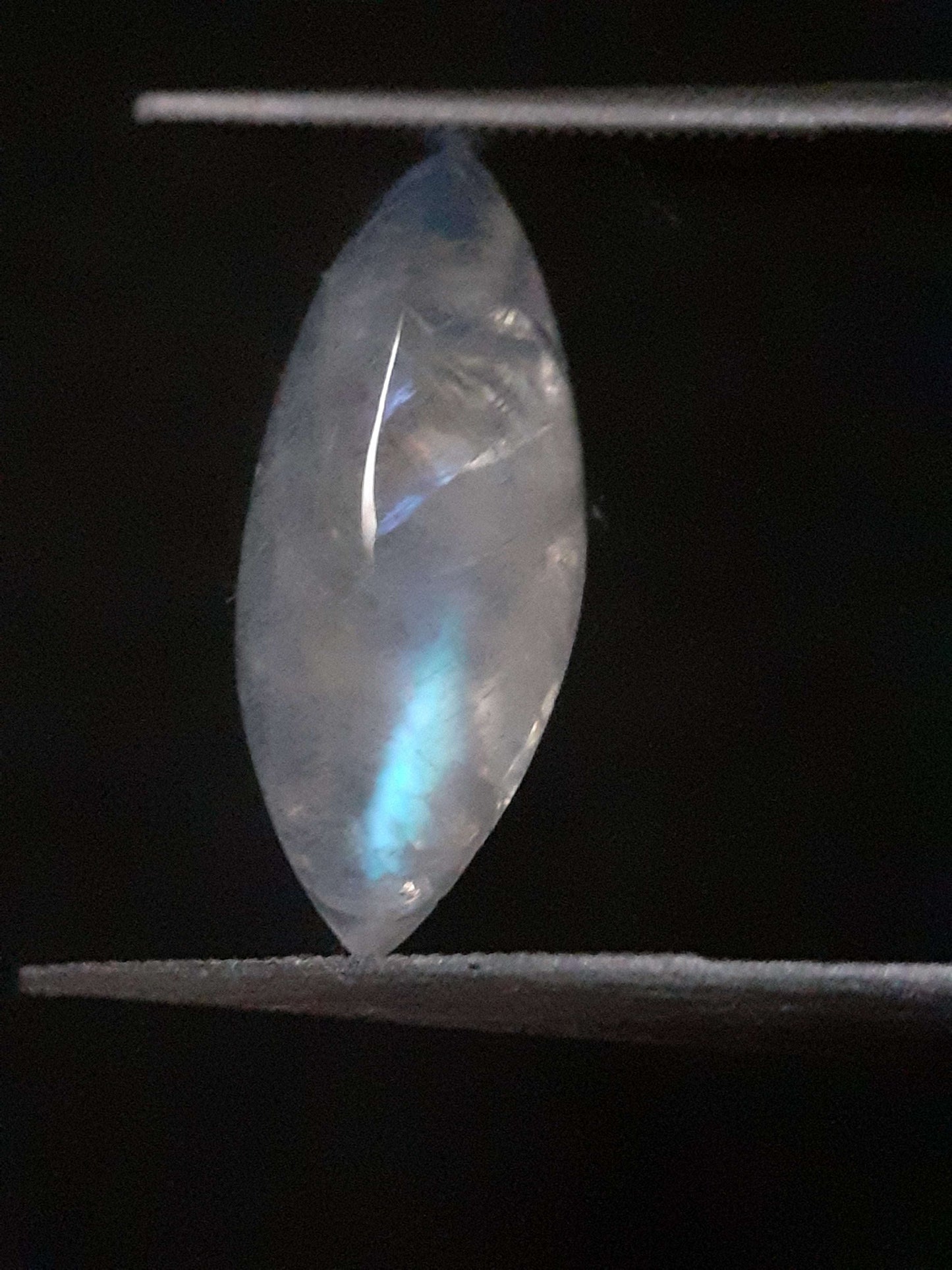 Natural Moonstone - lightblue and purplish blue adularescence - 3.704 ct - marquise cabochon