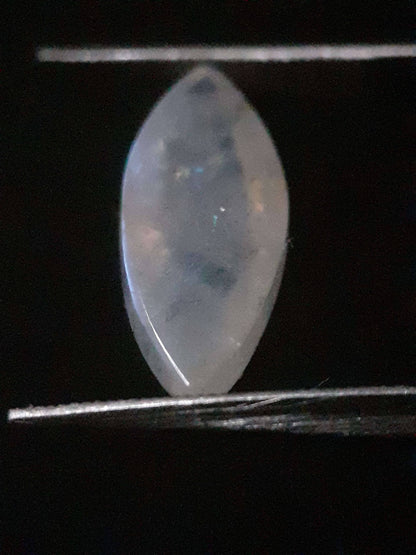 Natural Moonstone - lightblue and purplish blue adularescence - 3.704 ct - marquise cabochon