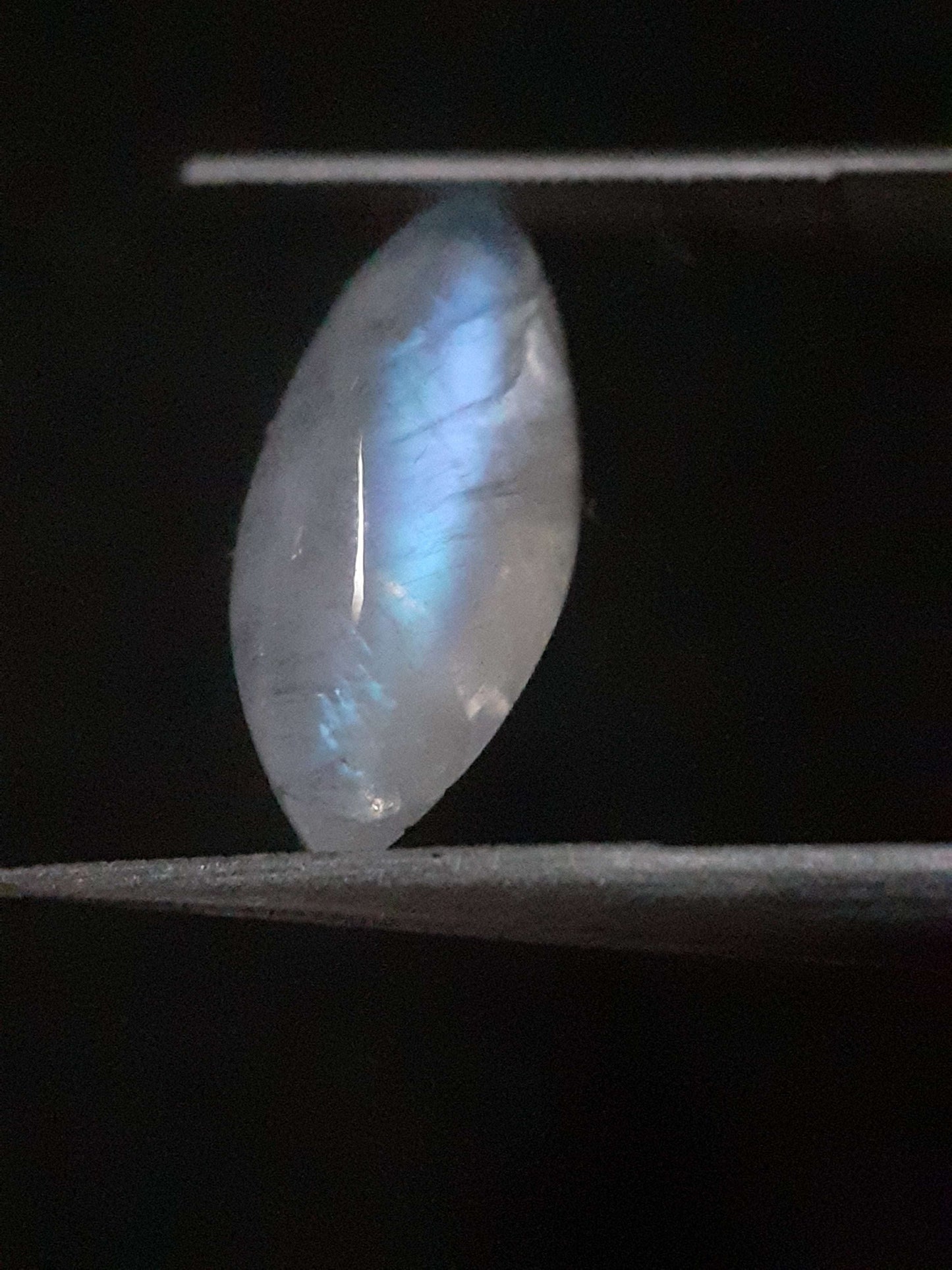 Natural Moonstone - lightblue and purplish blue adularescence - 3.704 ct - marquise cabochon