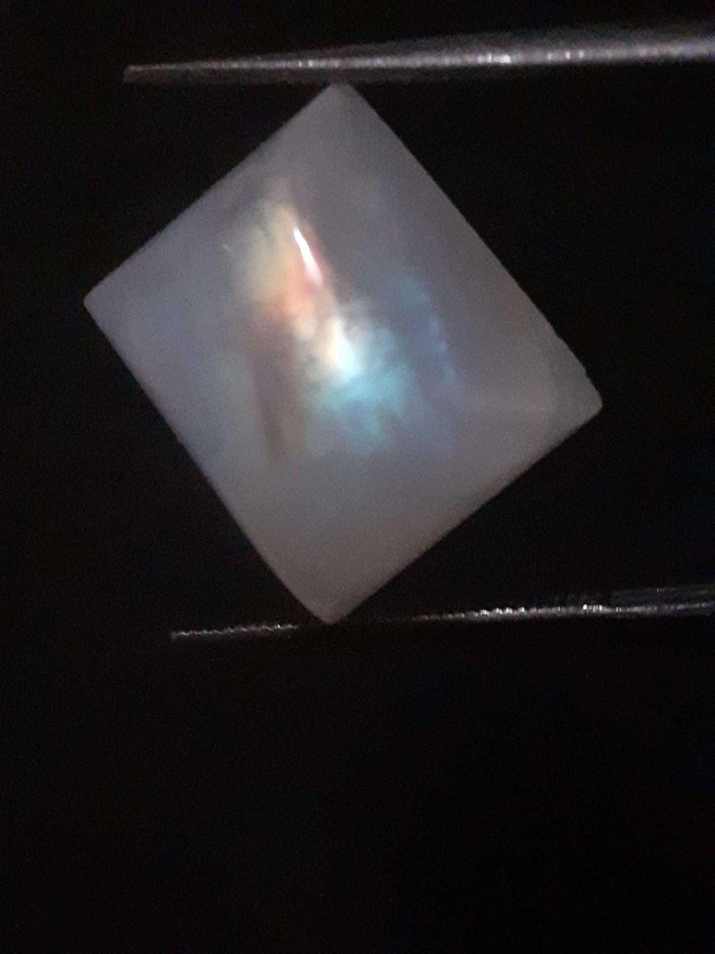 Natural Moonstone - rainbow adularescence - 11.583 ct - cushion cabochon