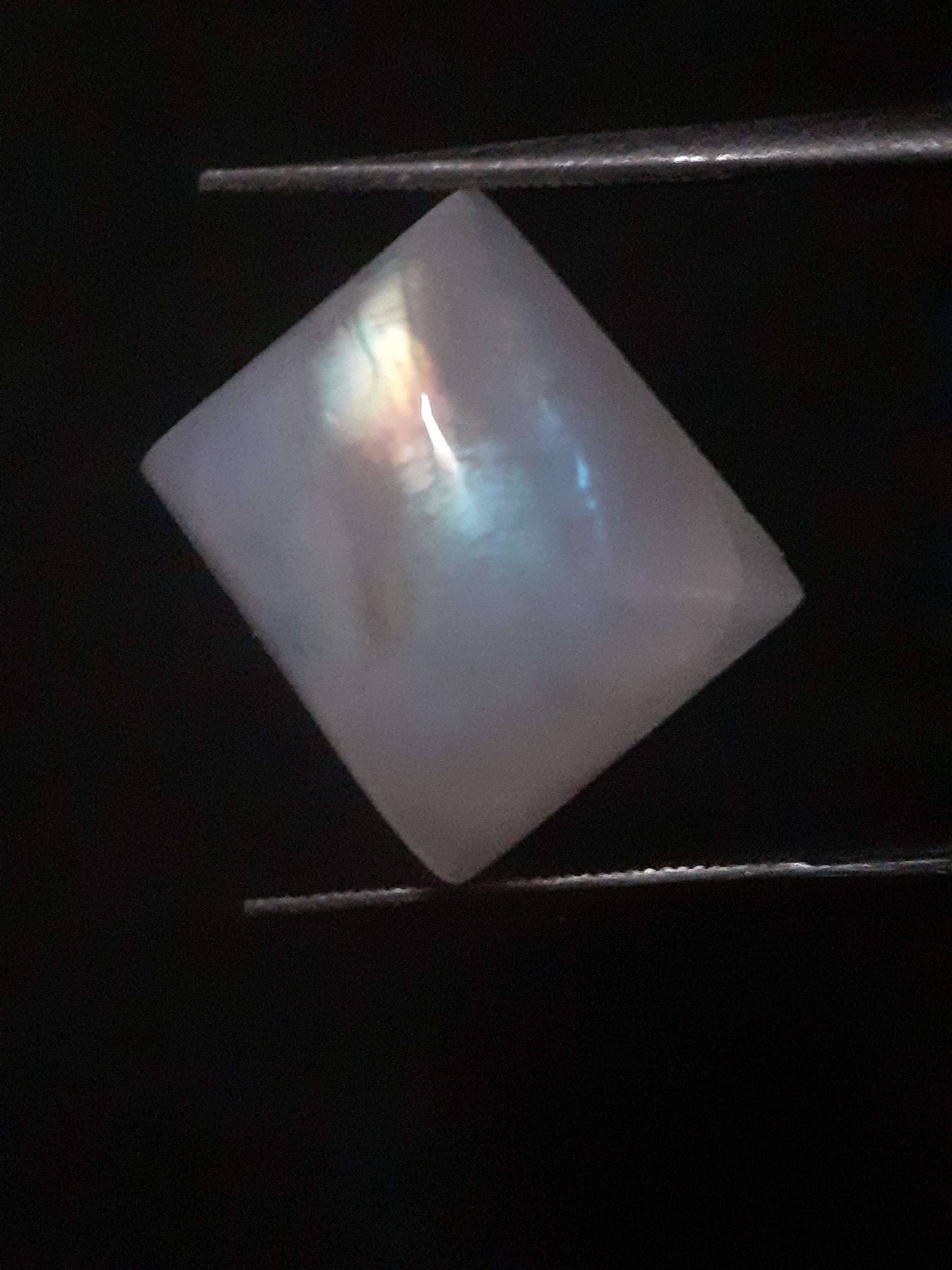 Natural Moonstone - rainbow adularescence - 11.583 ct - cushion cabochon