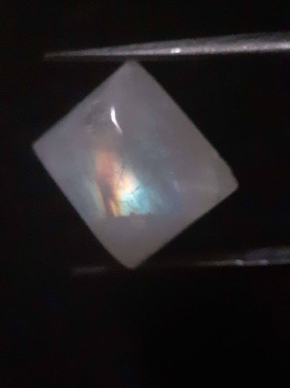 Natural Moonstone - rainbow adularescence - 11.583 ct - cushion cabochon