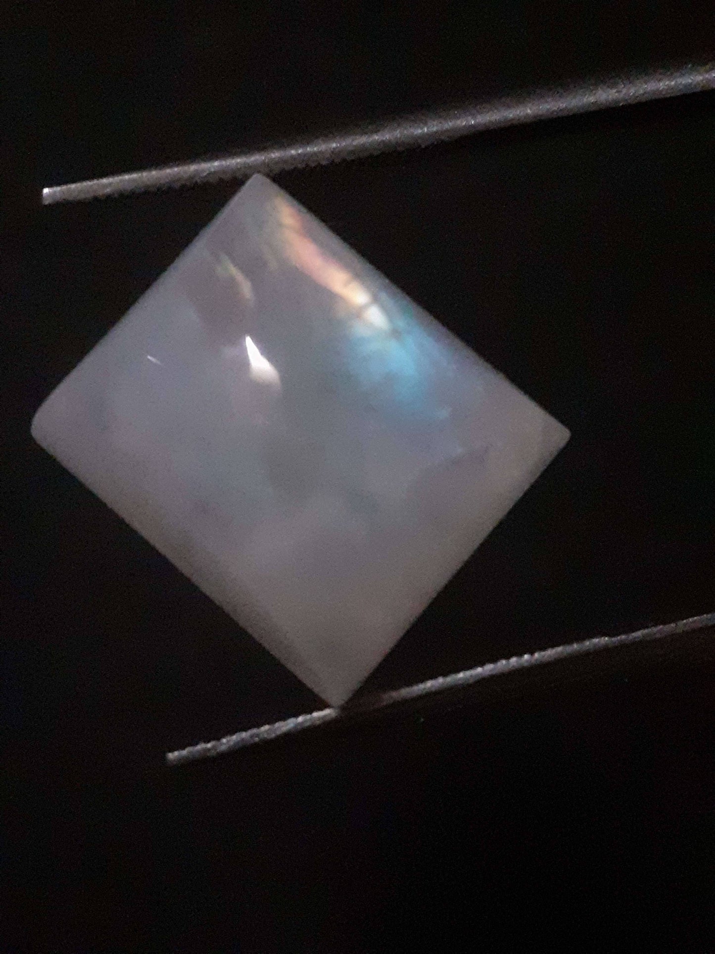 Natural Moonstone - rainbow adularescence - 11.583 ct - cushion cabochon