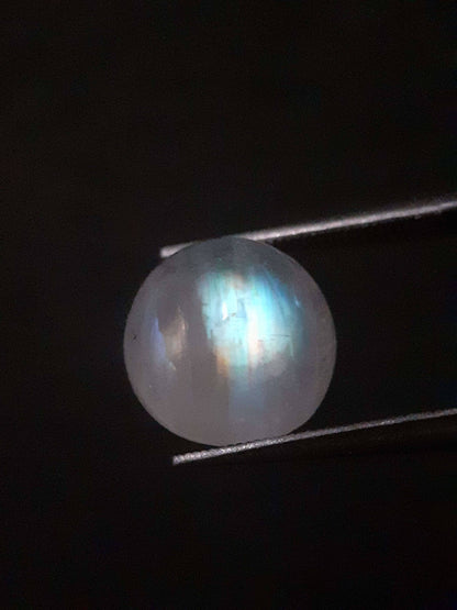 Natural Moonstone - rainbow adularescence - 3.923 ct - round cabochon