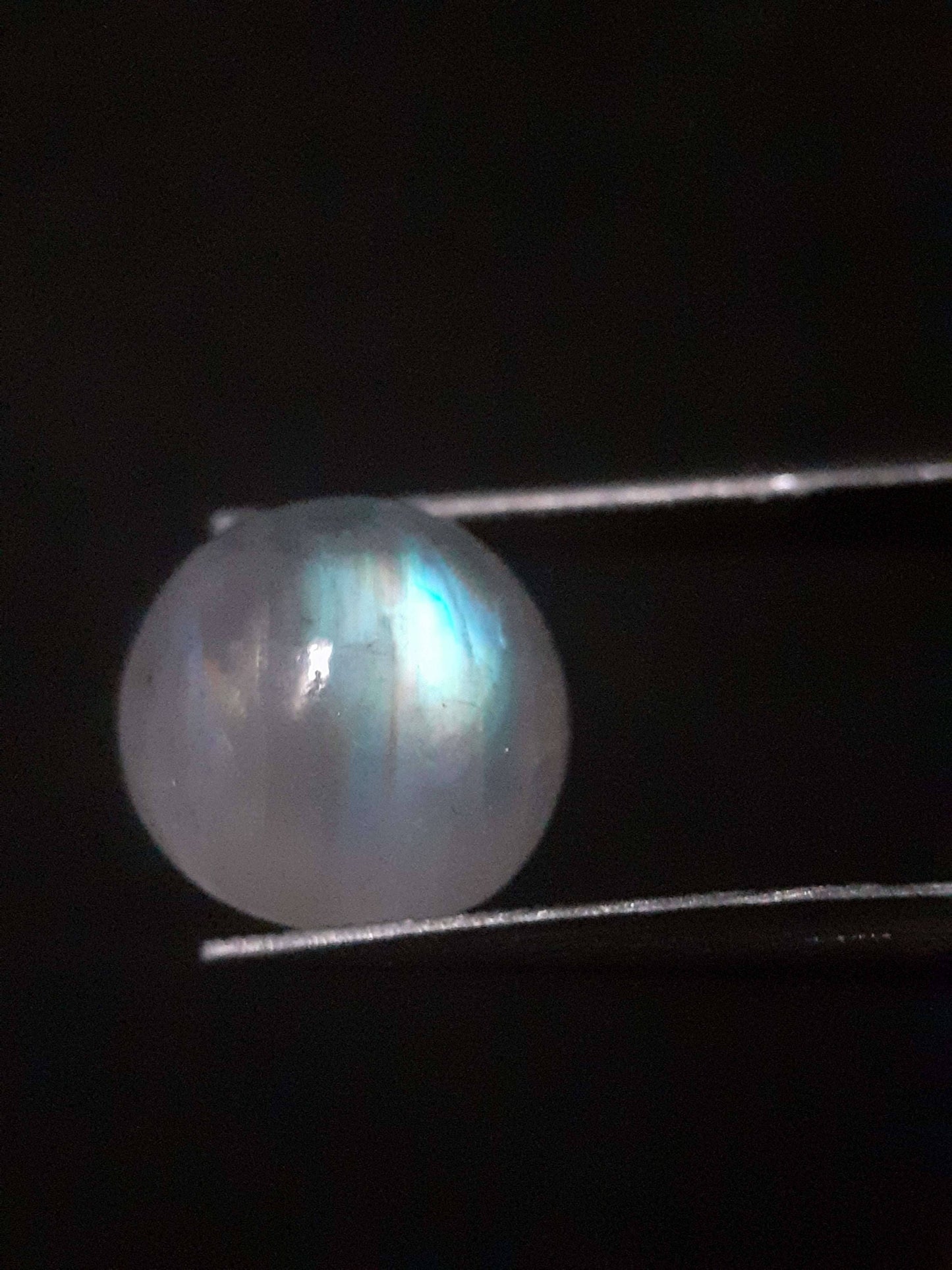 Natural Moonstone - rainbow adularescence - 3.923 ct - round cabochon