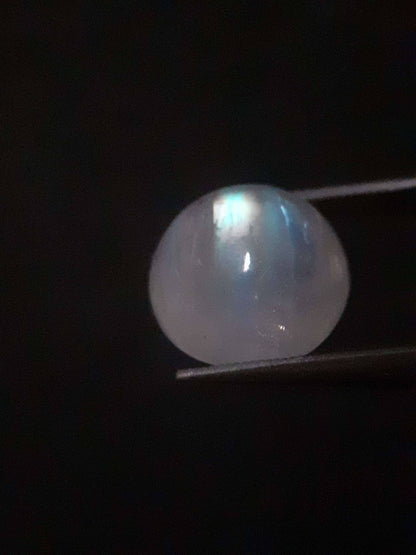 Natural Moonstone - rainbow adularescence - 3.923 ct - round cabochon