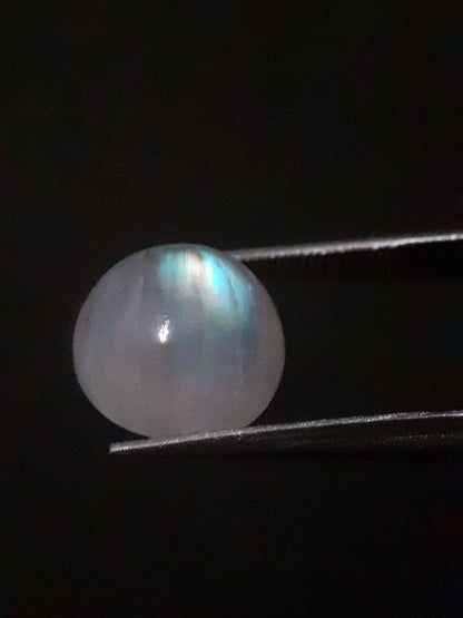 Natural Moonstone - rainbow adularescence - 3.923 ct - round cabochon