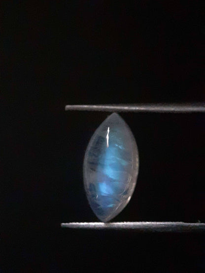 Natural Moonstone - shades of blue adularescence - 3.025 ct - marquise cabochon