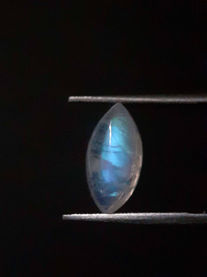 Natural Moonstone - shades of blue adularescence - 3.025 ct - marquise cabochon