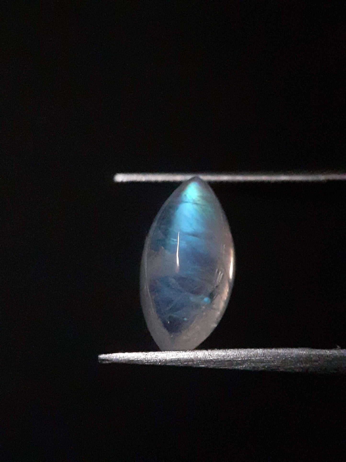 Natural Moonstone - shades of blue adularescence - 3.025 ct - marquise cabochon