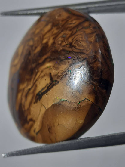 Natural orangy brown Winton Matrix Boulder Opal - 24.15 ct - semi round - unheated