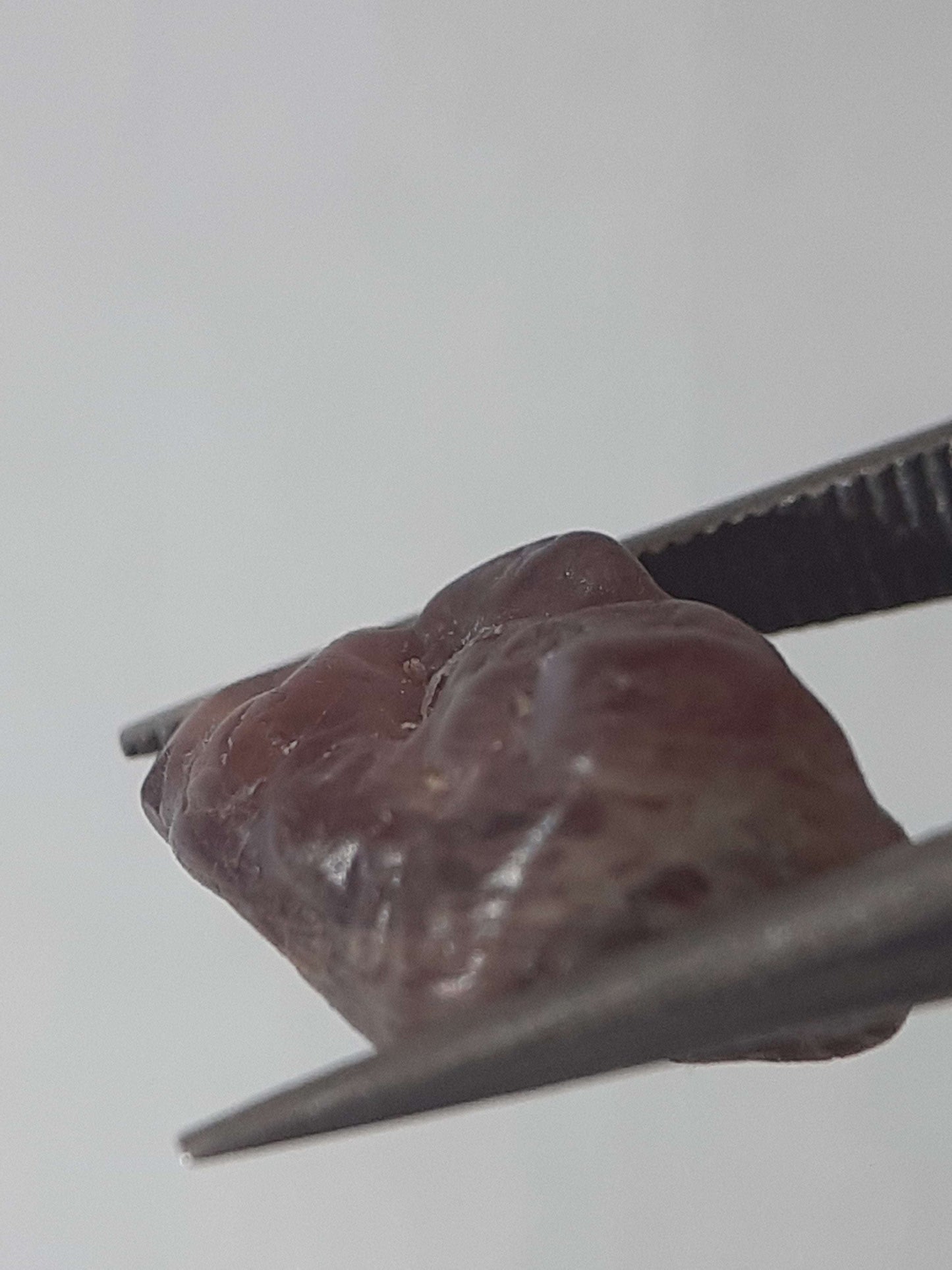 Natural purplish red Spinel - 4.637 ct - Rough Gemstone - unheated