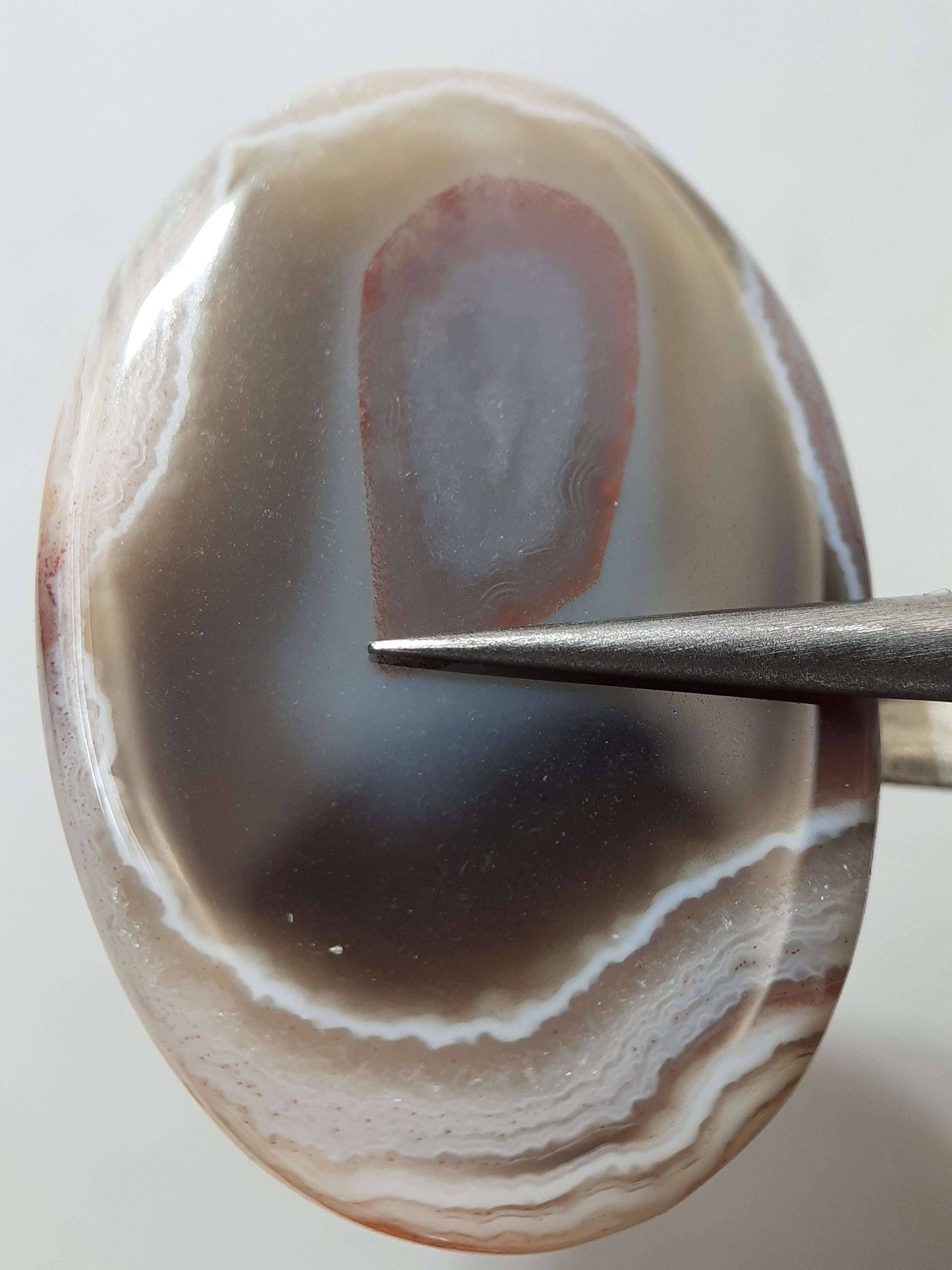 Natural white laced midnight red Botswana Agate - 36.91 ct - oval Cabochon - unique - certified by NGB