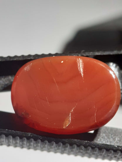 Orangy red Carnelian,rose cut, oval, 12.25 ct - Natural Gems Belgium