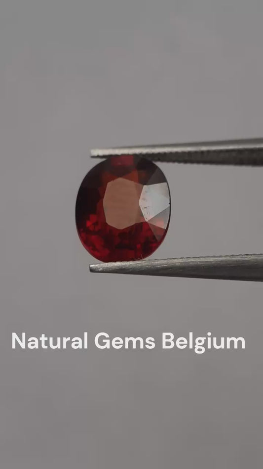 Natural reddish orange Spessartite Garnet - 1.79 ct - Oval - unheated