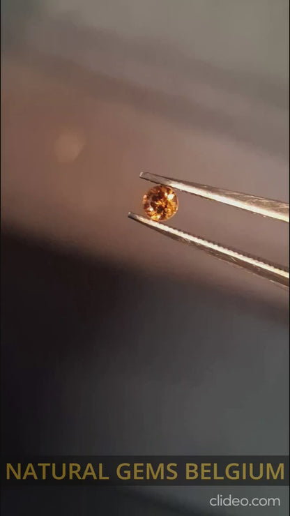 Grenat spessartite naturel - 0,10 ct - pour la joaillerie haut de gamme - couleur orange intense, éclat exceptionnel
