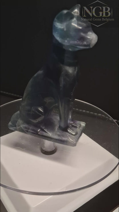 Hand Carved Fluorite Cat – 6.88 cm – Natural Fluorite Crystal Cat Sculpture – Collector's Decor