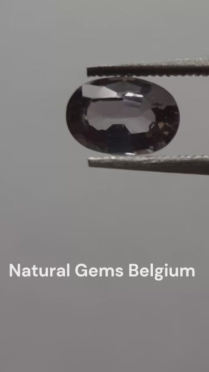 Natural greenish purple sapphire - 0.66 ct - Oval - heated - Ceylon - certified by NGB