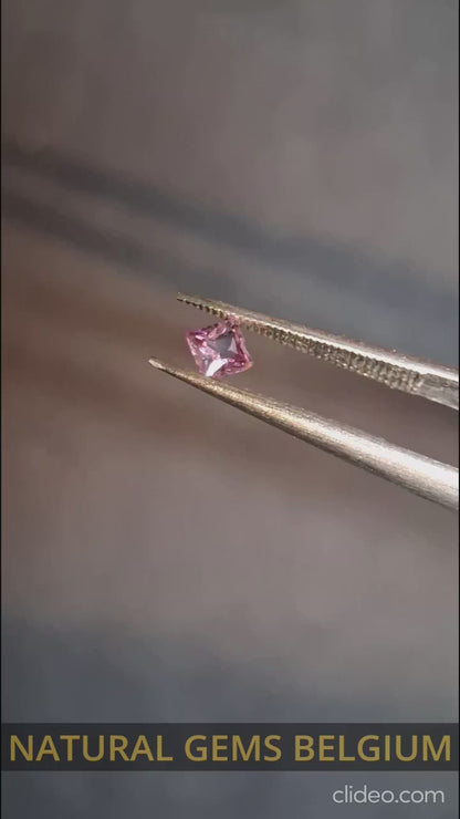 Natural Purple Sapphire - 0.189 ct - Square cut - unheated - Africa - Medium Purple