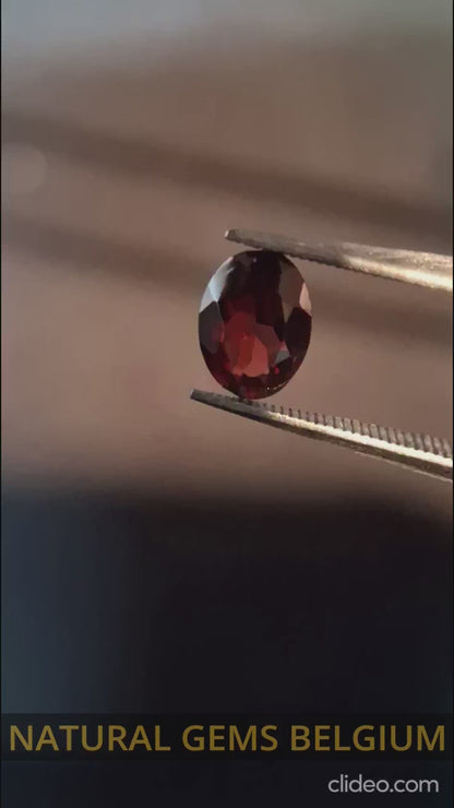 Natural Garnet - Rhodolite - 0.680 ct - oval - unheated- red