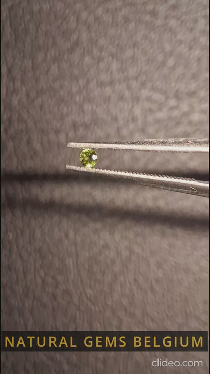 Tourmaline naturelle - Vert jaunâtre vif - 2 mm - 0,031 ct - rond - non chauffé