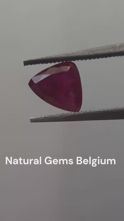 Natural purplish red Ruby - 0.64 ct - Trillion - heated - certified by NGB